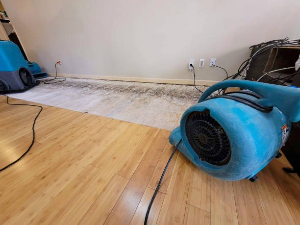 Professional Flood Damage Cleanup technician working in Chickamauga, GA